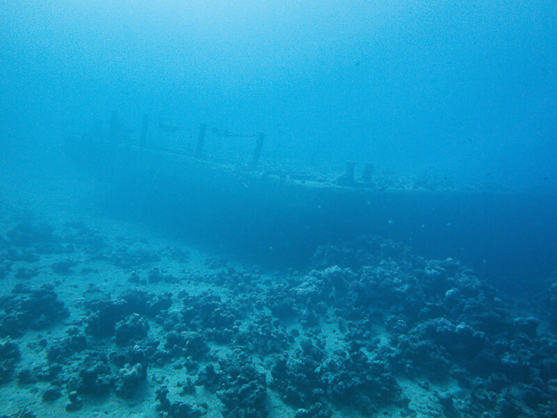 Aqaba - Wreck Cedar Pride