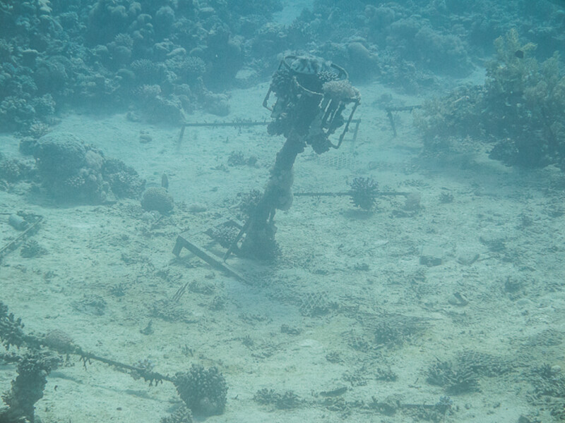 Aqaba - Black Rock