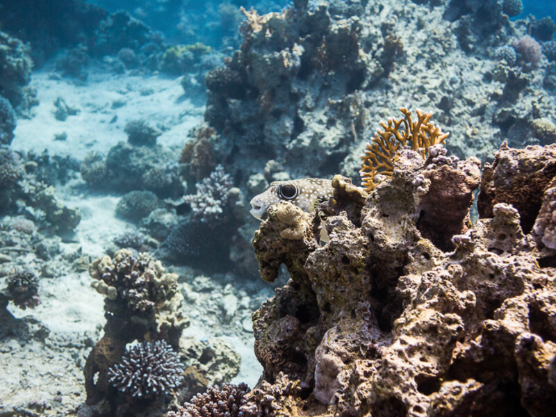 Aqaba - Black Rock