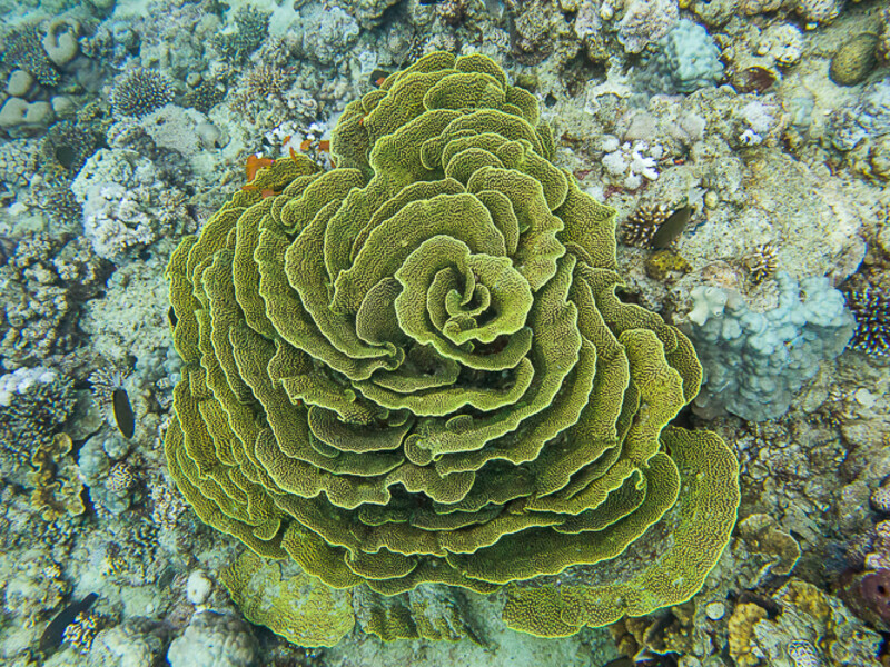 Aqaba - First Bay North