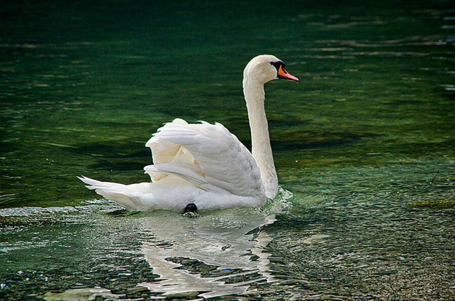 Riva del Garda