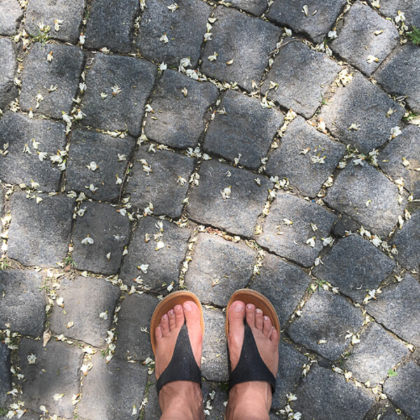IMG_0730