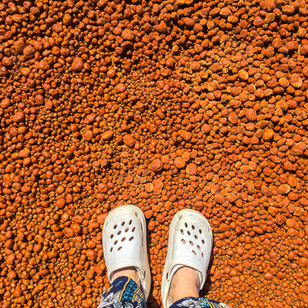 Maroko_2015_09-den_Ouled-Aissa-Takojt-Merzouga-_27