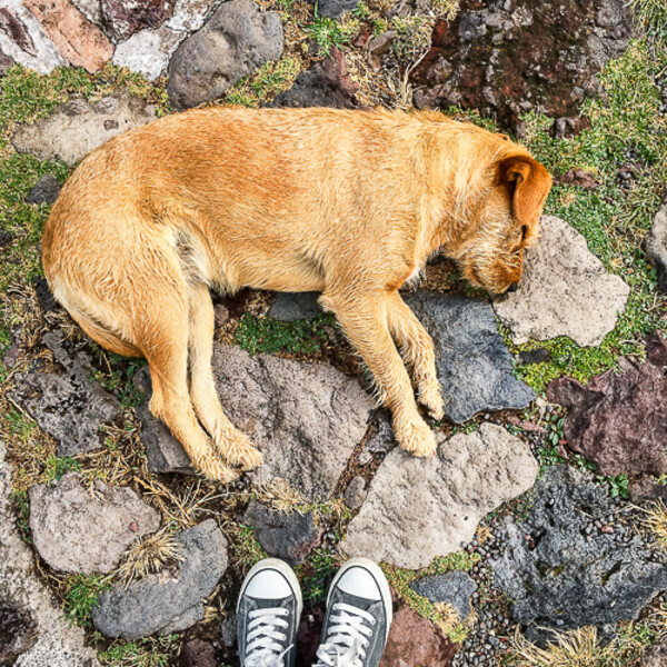 Mexico_2018_den_5_0075