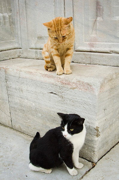 Istanbul