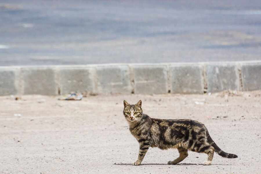 iran-roadtrip-2017_007