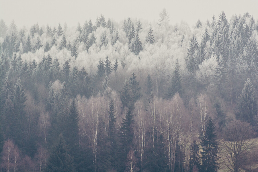Neratov