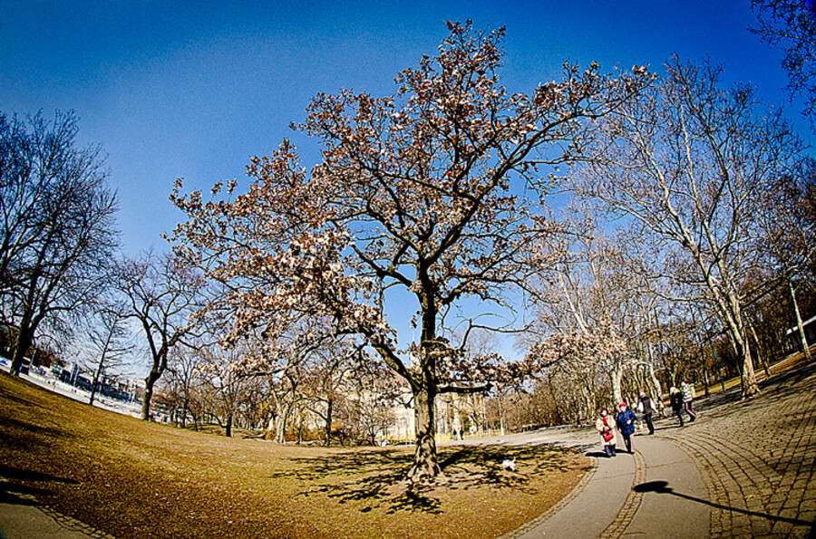 Budapešť
