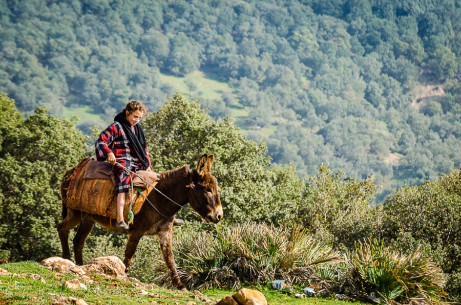 Maroko_2015_06-den_Moulay-Idriss-Ksar-Timnay_224