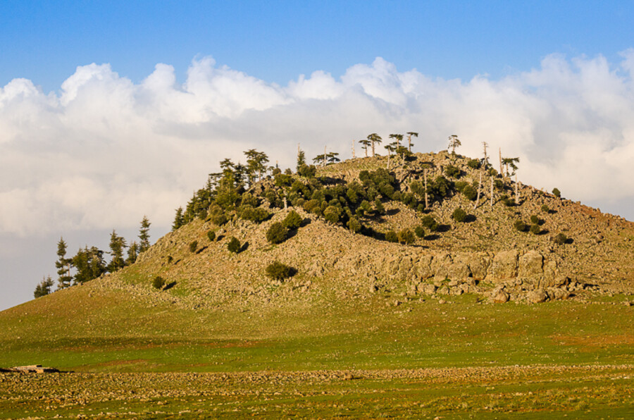 Maroko_2015_06-den_Moulay-Idriss-Ksar-Timnay_261