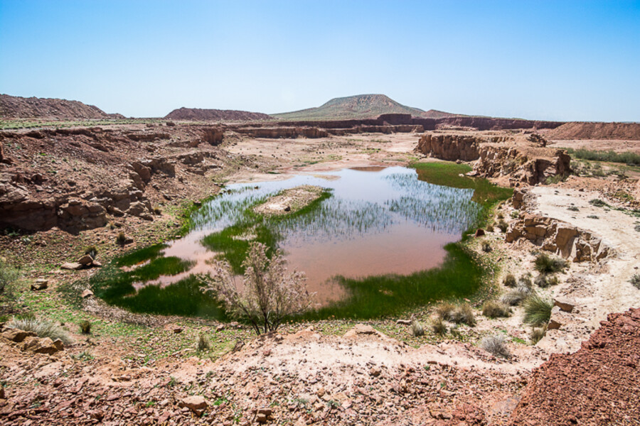 Maroko_2015_07-den_Ksar-Timnay-Midelt_10
