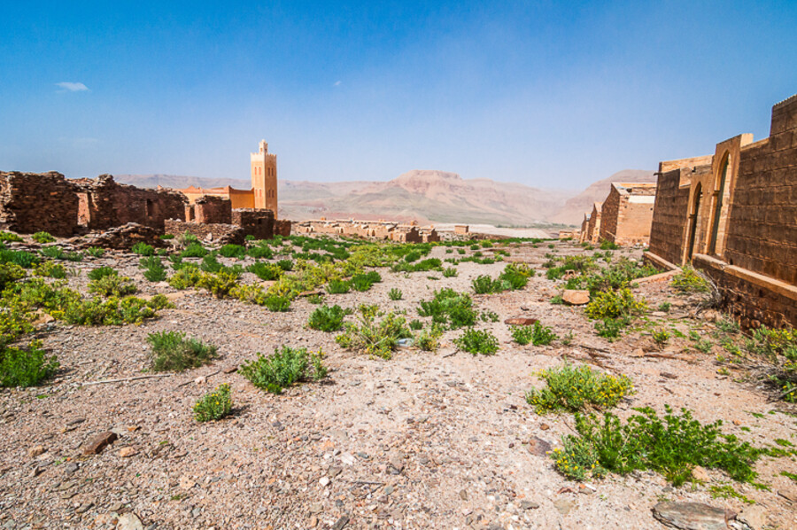Maroko_2015_07-den_Ksar-Timnay-Midelt_156