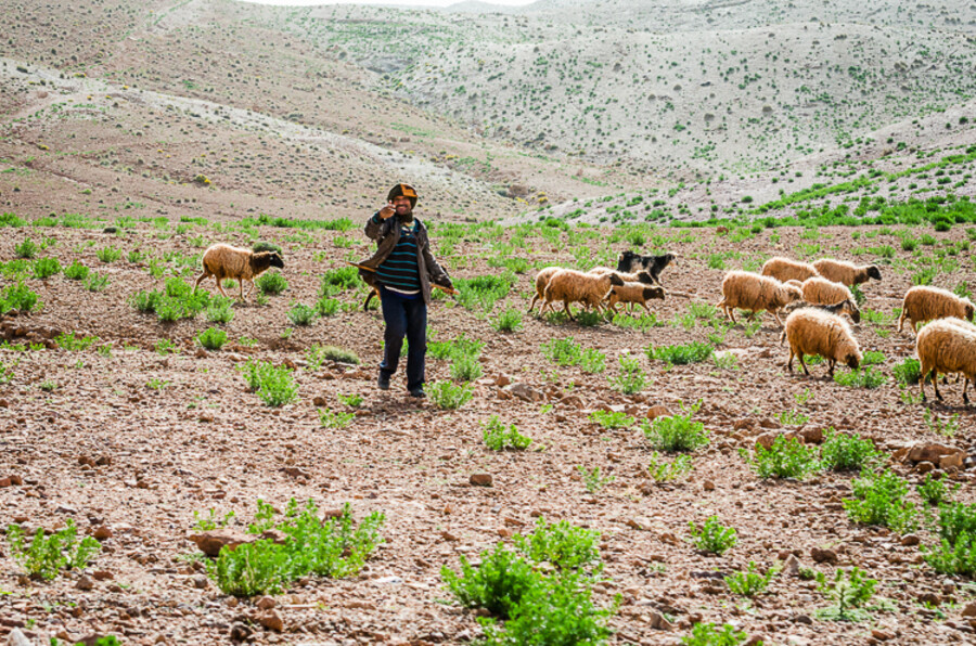 Maroko_2015_07-den_Ksar-Timnay-Midelt_217