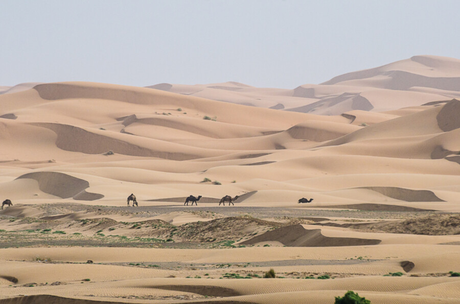Erg Chebbi