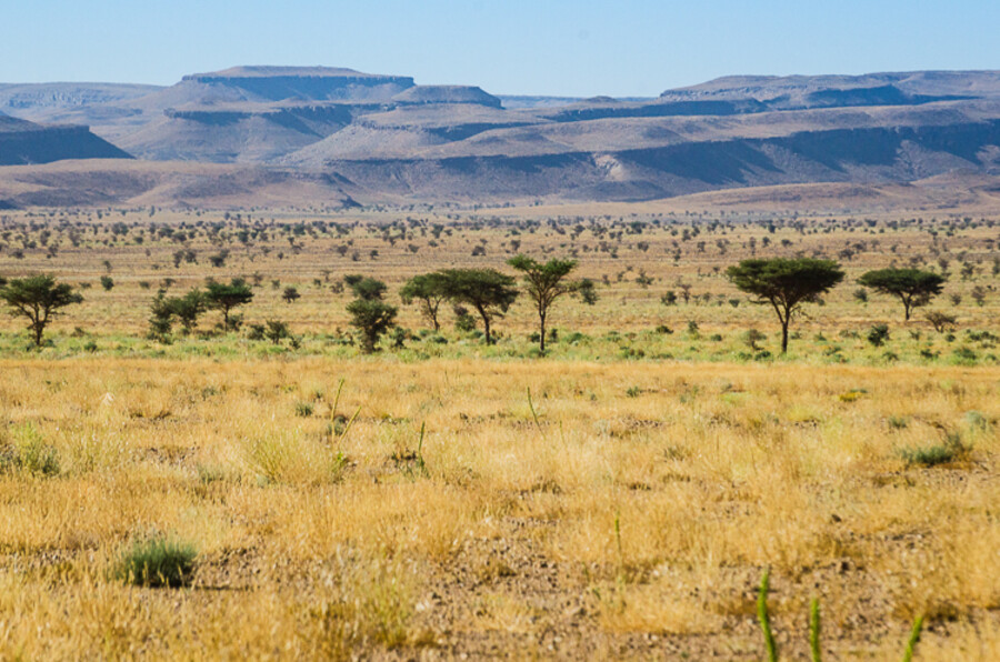 Maroko_2015_13-den_Ramlia-Zagora_126