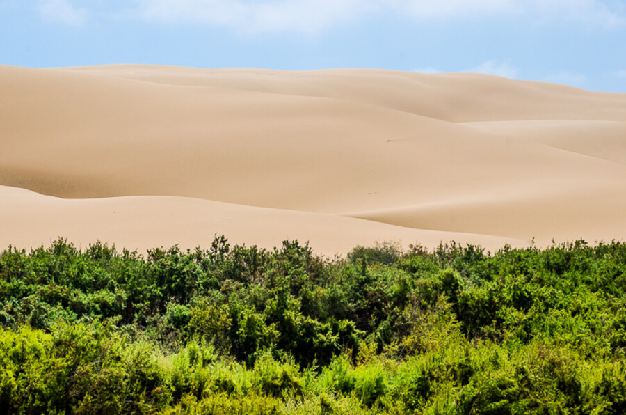 Maroko_2015_20-den_Plage-Blanche-Legzira_40