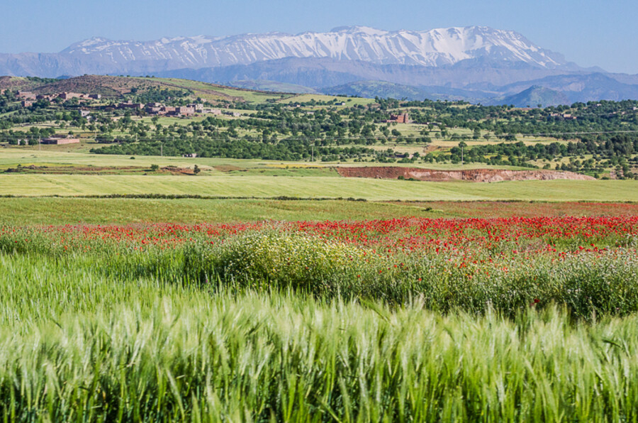 Maroko_2015_24-den_Marrakech-Ouzoud_259