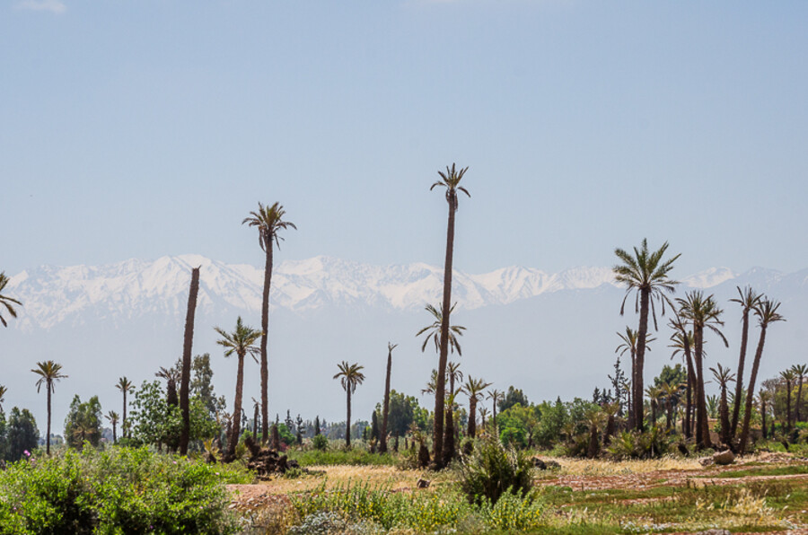 Maroko_2015_24-den_Marrakech-Ouzoud_32