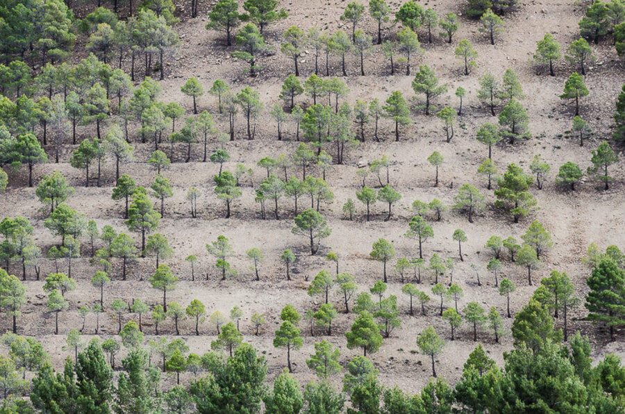 Maroko_2015_26-den_Ouzoud-Zaouia-Ahansal_309