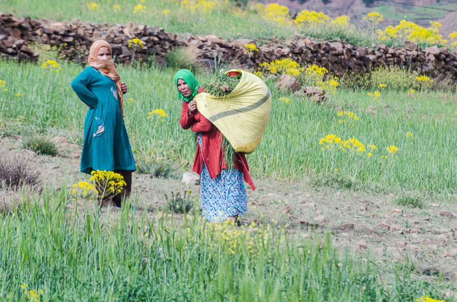 Maroko_2015_26-den_Ouzoud-Zaouia-Ahansal_338