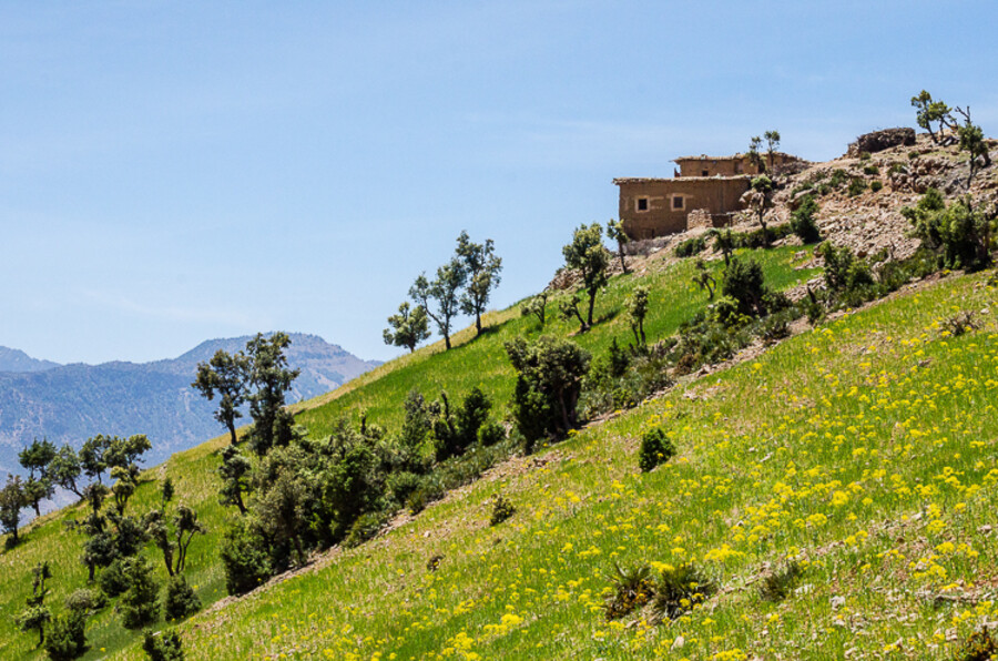 Maroko_2015_26-den_Ouzoud-Zaouia-Ahansal_55