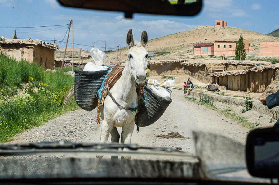Maroko_2015_28-den_Bin-El-Ouidane-Imilchil-Agoudim_110