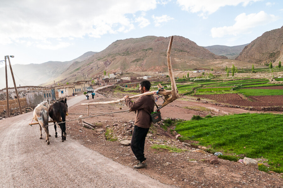 Maroko_2015_28-den_Bin-El-Ouidane-Imilchil-Agoudim_252
