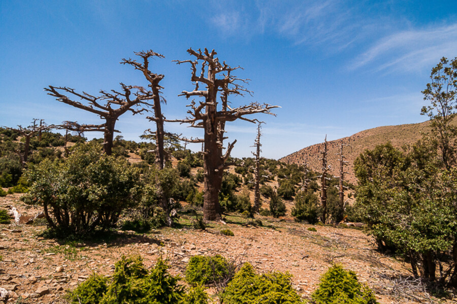 Cirque de Jaffaar
