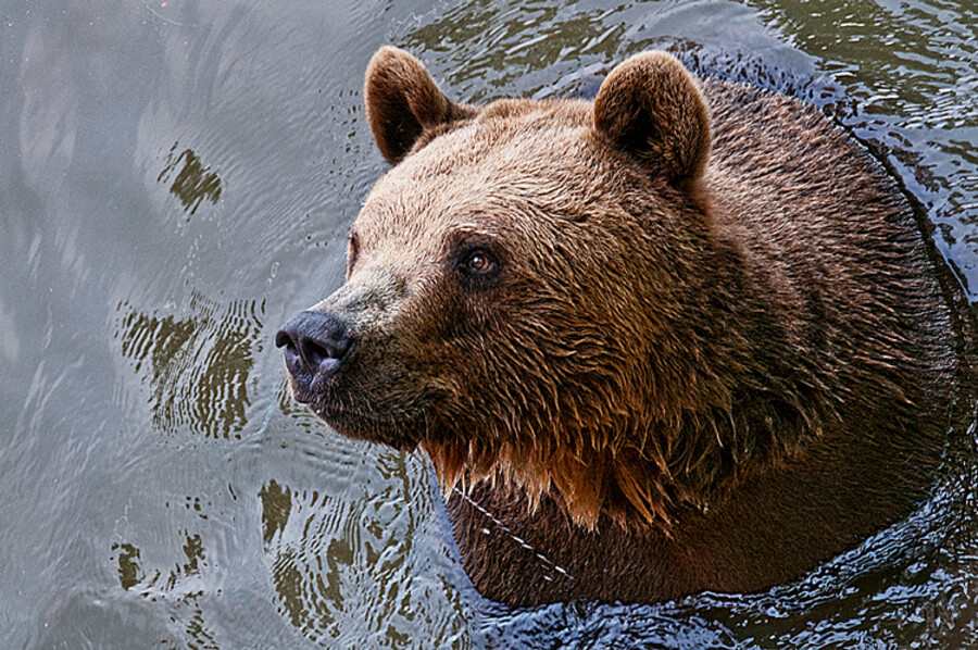_DSC4031