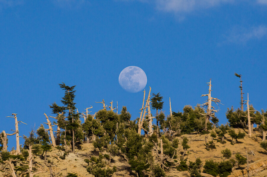 Maroko_2015_28-den_Bin-El-Ouidane-Imilchil-Agoudim_307