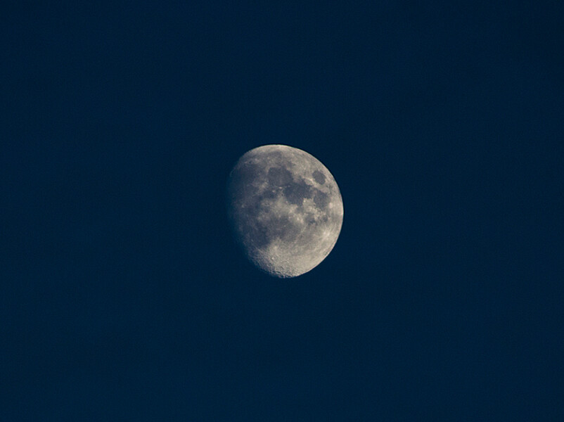 NOV_3576