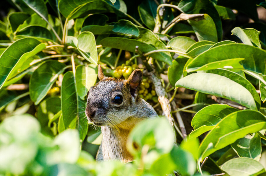 Mexico_2018_den_3_0081