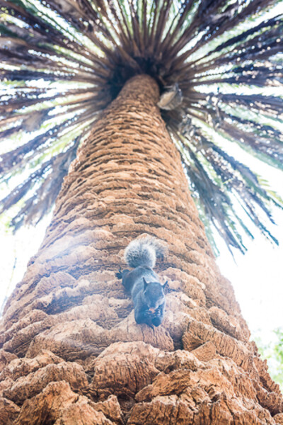 Mexico_2018_den_4_0074