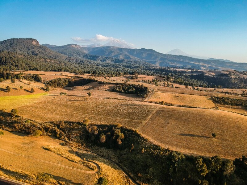 DJI_0277