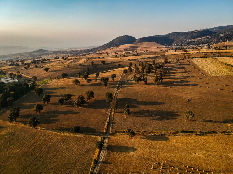 DJI_0283