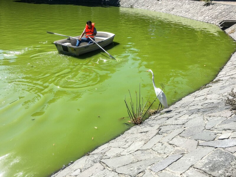 Chapultepec