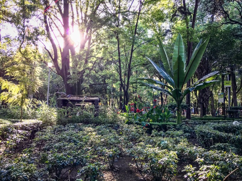 Parque México