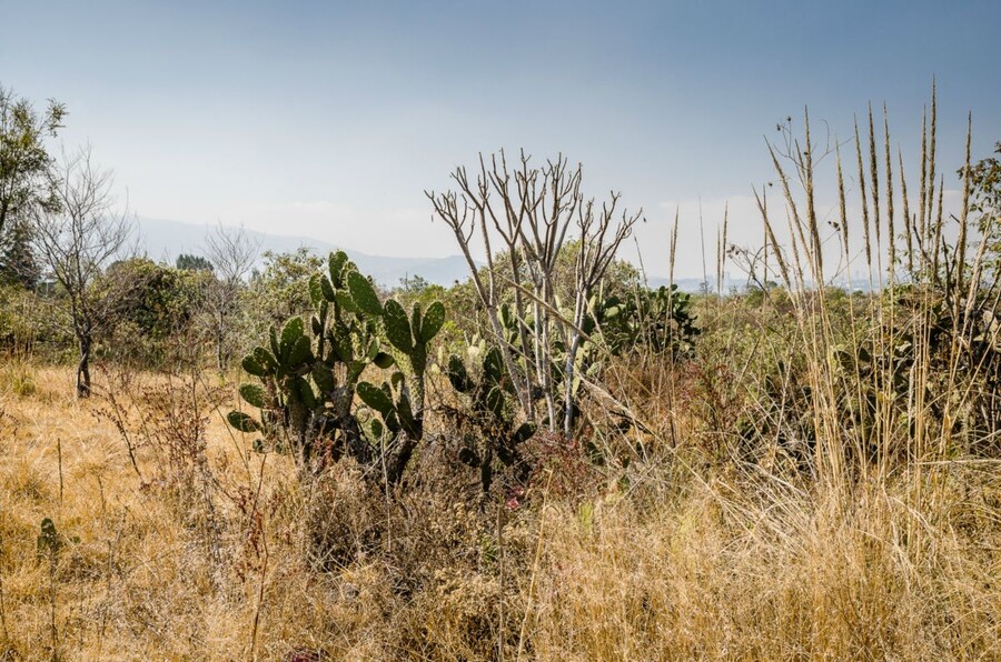 Espacio Escultórico UNAM