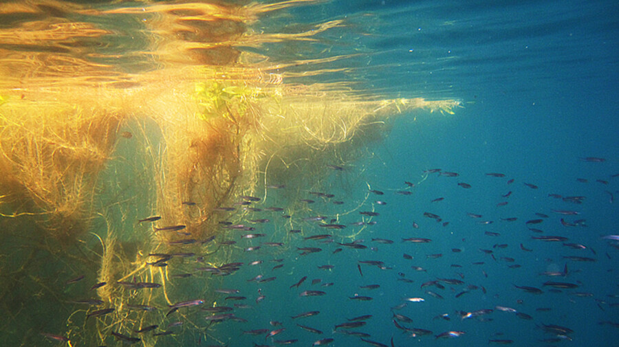 Cenote Azul
