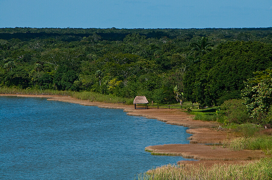 Cobá