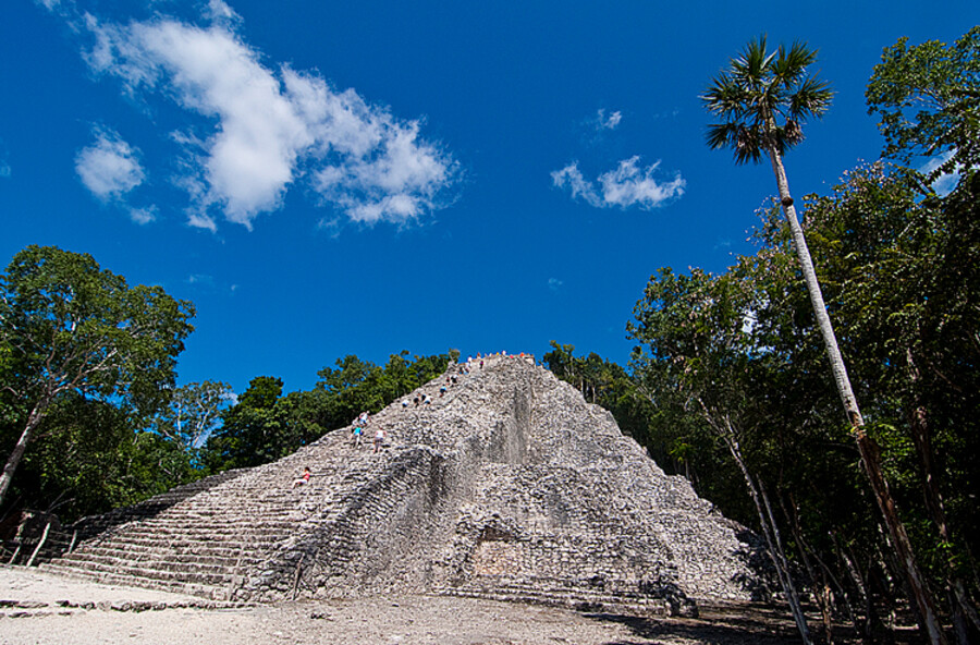 Cobá