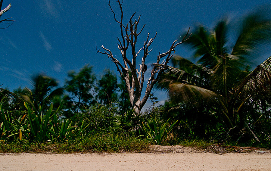 Mahahual