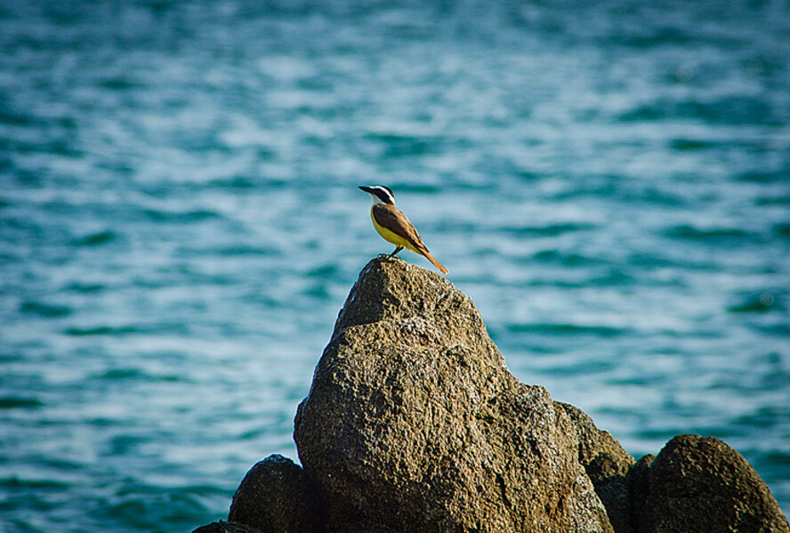 Huatulco