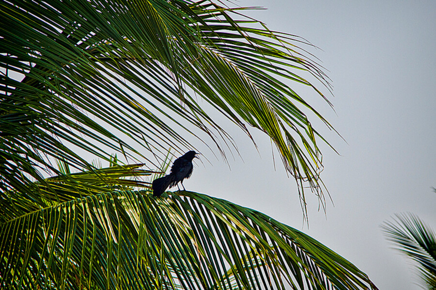 Huatulco