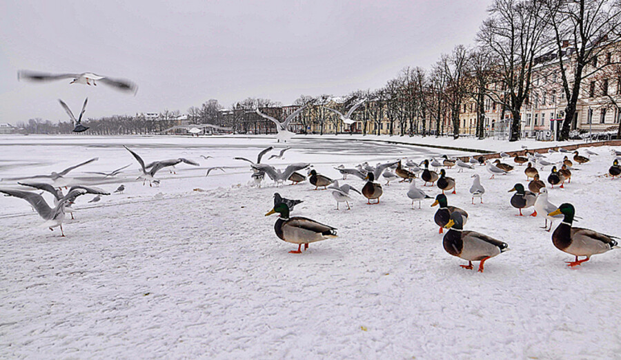 Schwerin