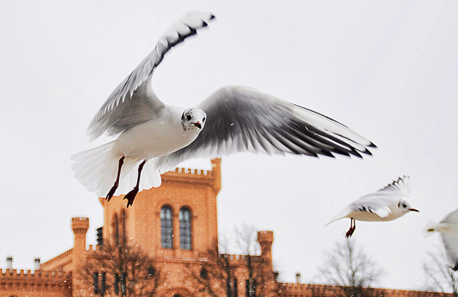 Schwerin