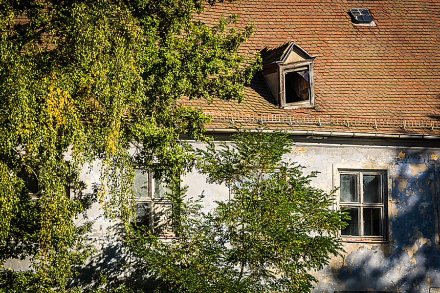 Drážďany