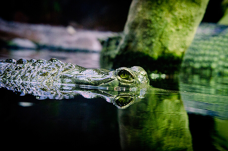 Zoo Praha