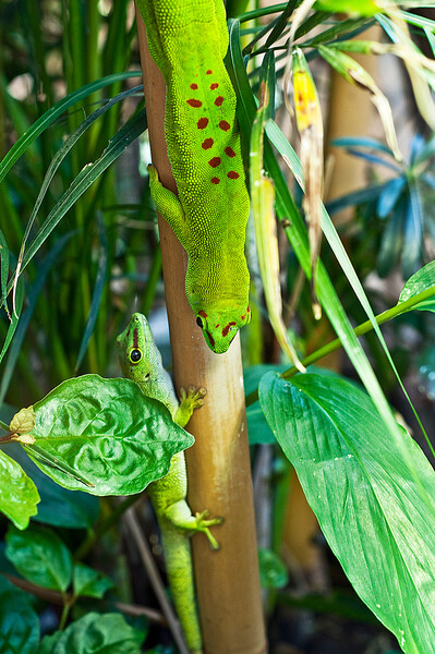 Zoo Plzeň