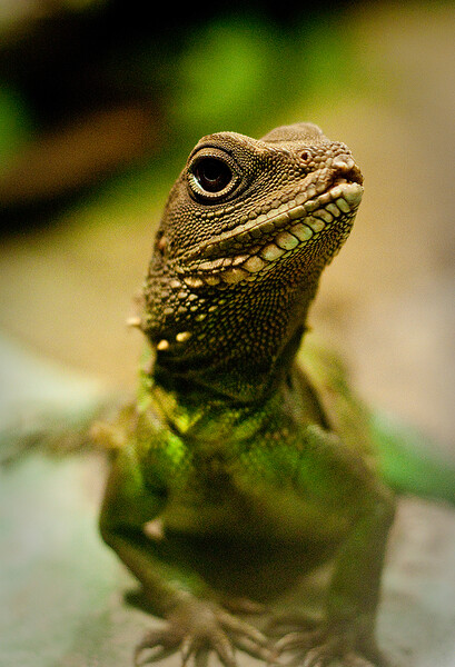 Zoo Praha